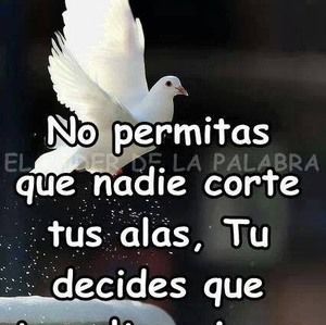 Meet your Posher, Krys